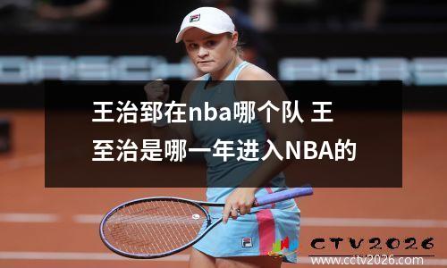 王治郅在nba哪个队 王至治是哪一年进入NBA的