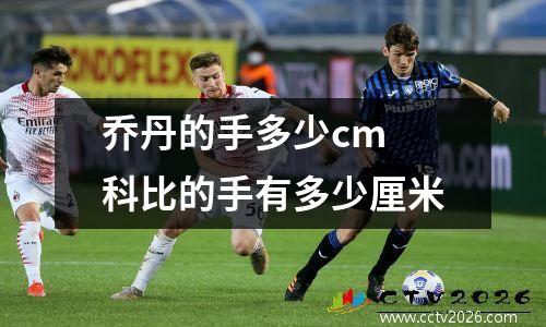 乔丹的手多少cm 科比的手有多少厘米