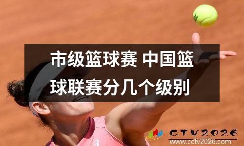 市级篮球赛 中国篮球联赛分几个级别