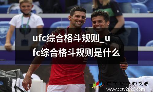 ufc综合格斗规则_ufc综合格斗规则是什么