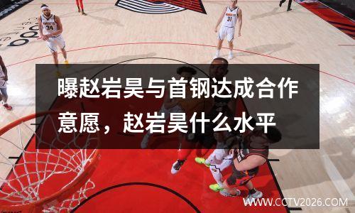 曝赵岩昊与首钢达成合作意愿，赵岩昊什么水平