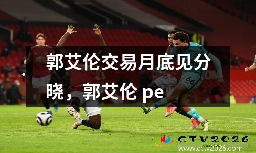 郭艾伦交易月底见分晓，郭艾伦 pe