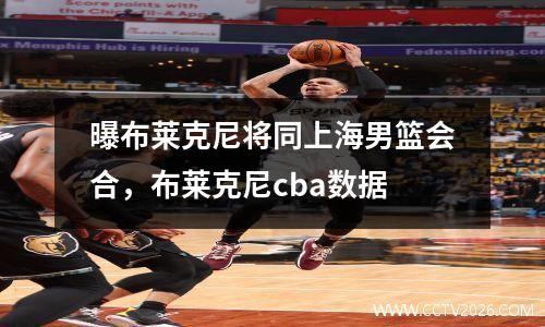 曝布莱克尼将同上海男篮会合，布莱克尼cba数据