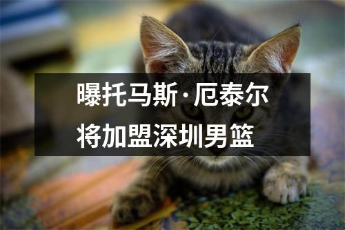 曝托马斯·厄泰尔将加盟深圳男篮