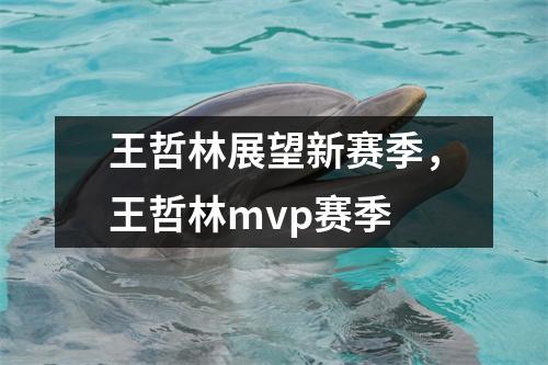 王哲林展望新赛季，王哲林mvp赛季