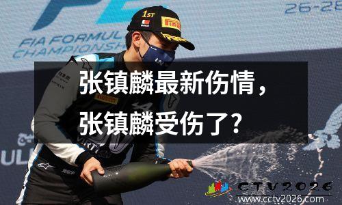 张镇麟最新伤情，张镇麟受伤了?