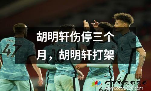胡明轩伤停三个月，胡明轩打架