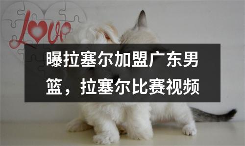 曝拉塞尔加盟广东男篮，拉塞尔比赛视频