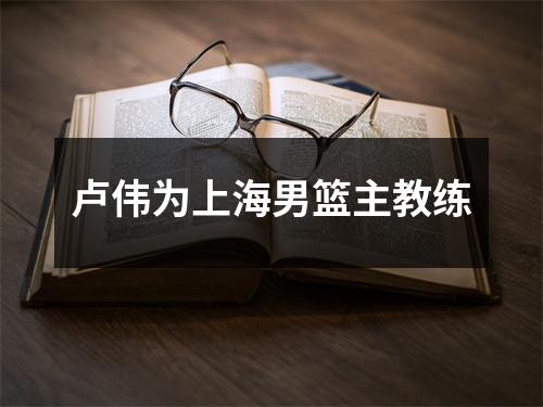 卢伟为上海男篮主教练