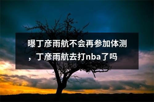 曝丁彦雨航不会再参加体测，丁彦雨航去打nba了吗