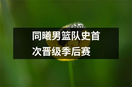 同曦男篮队史首次晋级季后赛