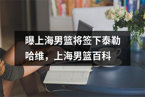 曝上海男篮将签下泰勒哈维，上海男篮百科