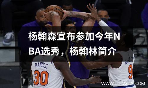 杨翰森宣布参加今年NBA选秀，杨翰林简介