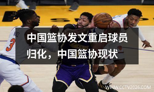 中国篮协发文重启球员归化，中国篮协现状